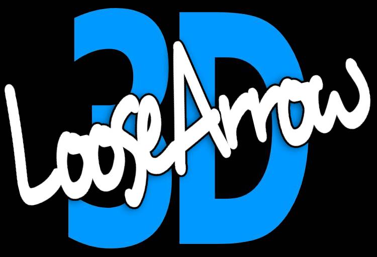 LooseArrow3D